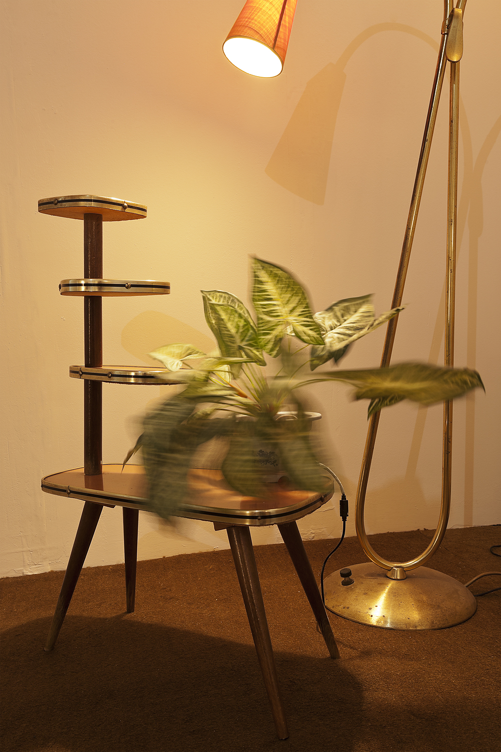 Tully Arnot ‚Nervous Plant‘ 2016.