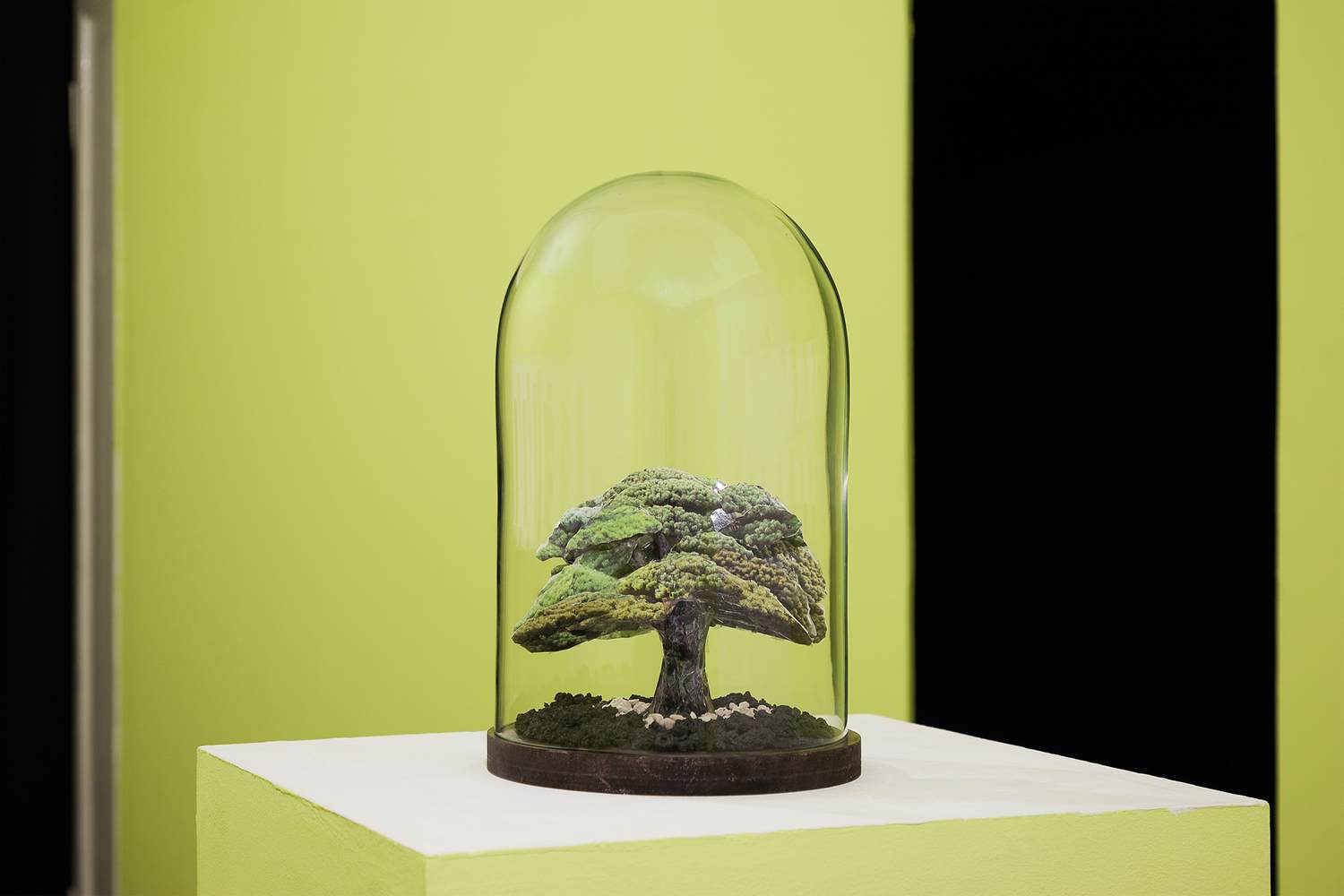 Justine Blau ‚Hibajukumoku (a gift)‘ 2017.