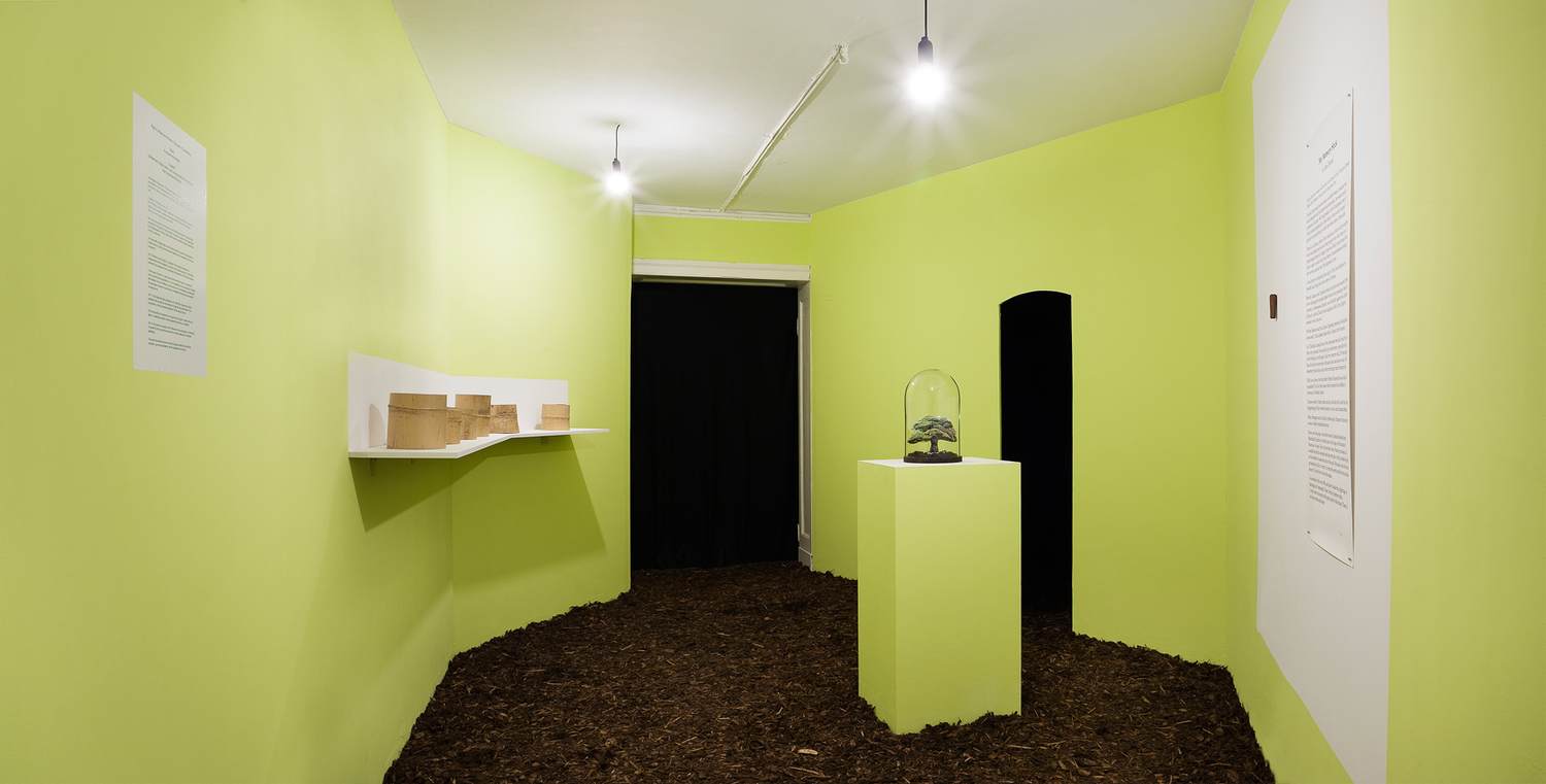 Corridor 2: Pachamama