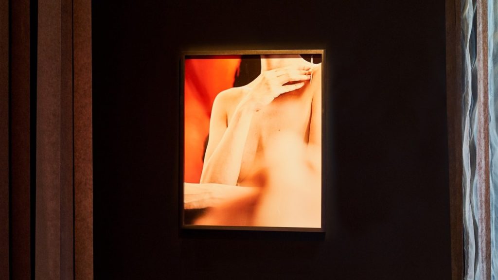 3_CASlNO-Luxembourg-Forum-d_art-contemporain_I-dreamed-I-was-a-house_Julie-Favreau_Photo_Andrés-Lejona_2019_03_1440x810-1024×576