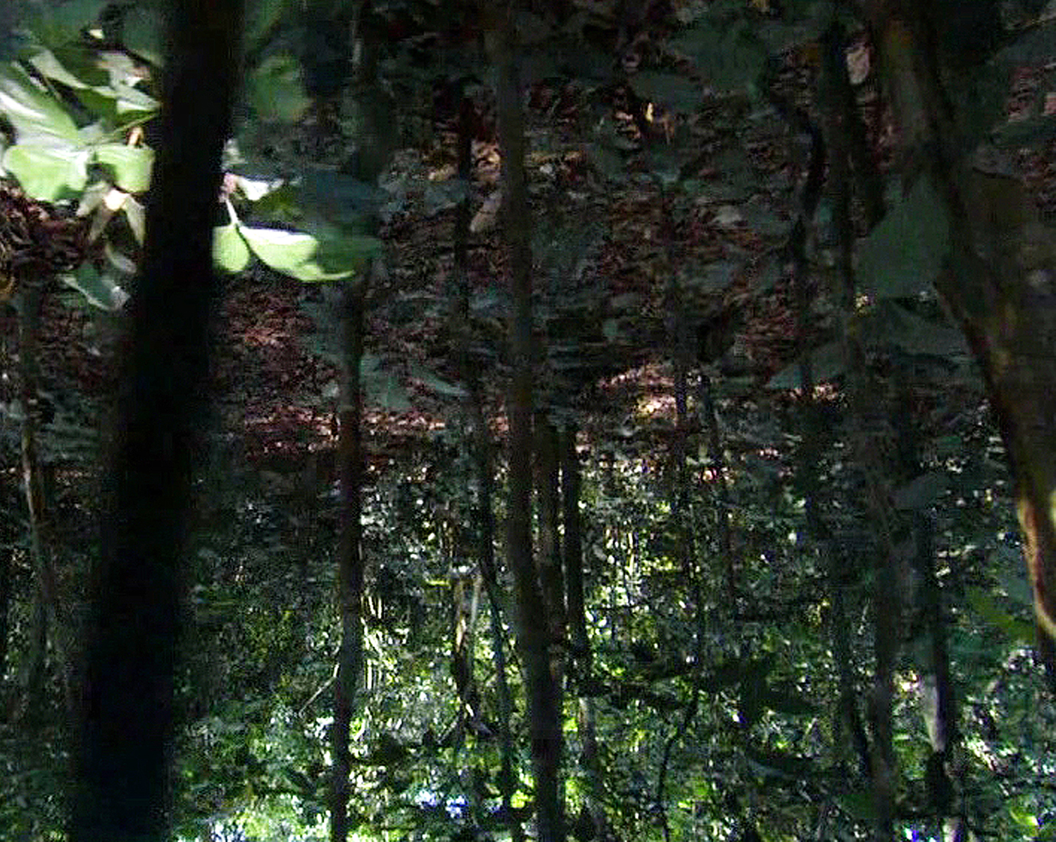 Daniel Steegmann Mangrané ‚Teque-teque‘ (video still) 2010.