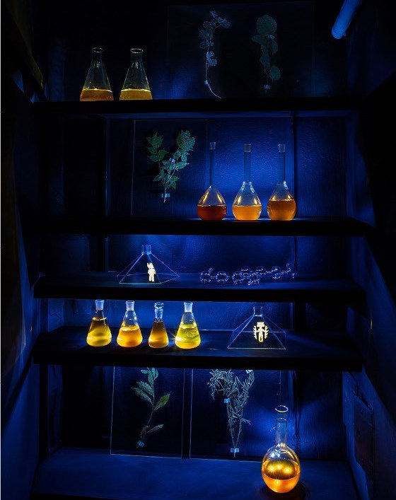 insitu – Cycle 4 – Corridor 2: Pachamama | 25.02.–13.05.2107 | insitu, Berlin