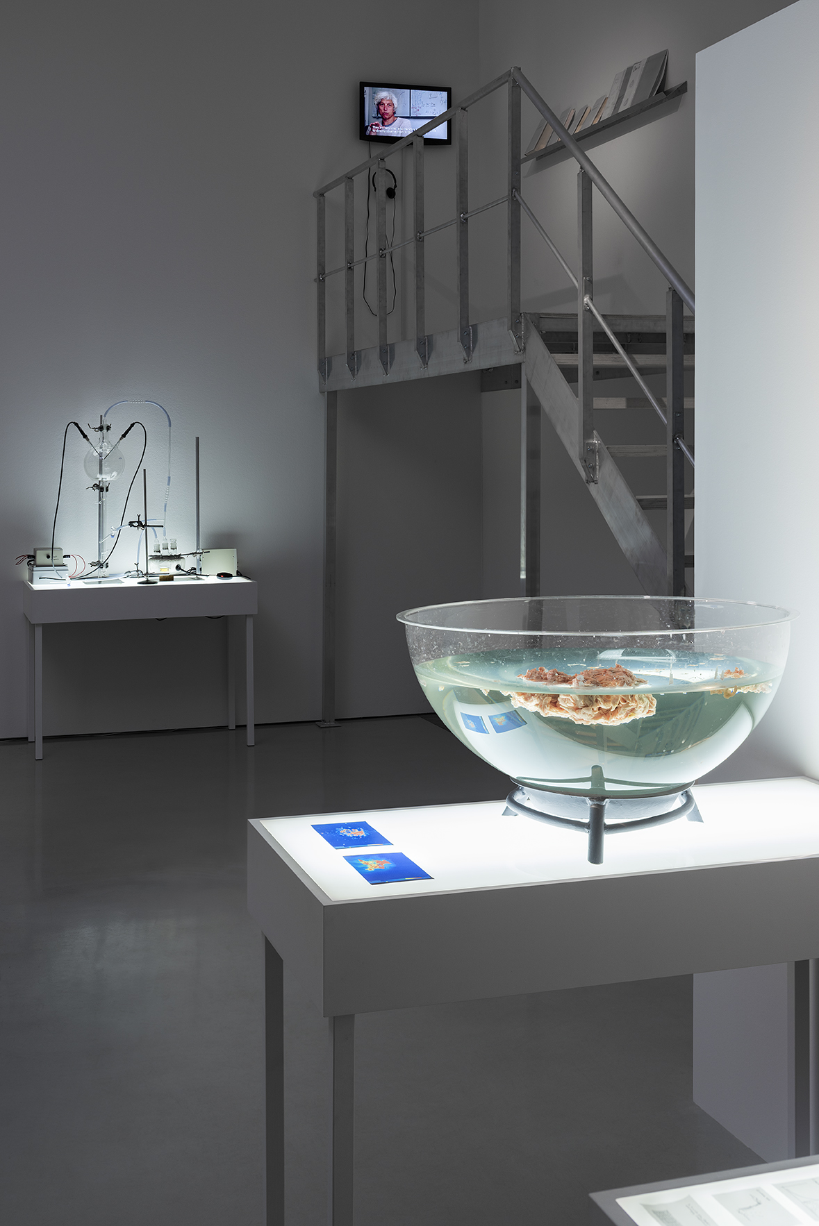 Jenny Brockmann ‚Wissensraum: Irreversibler Raum‘ (exhibition view) 2015.