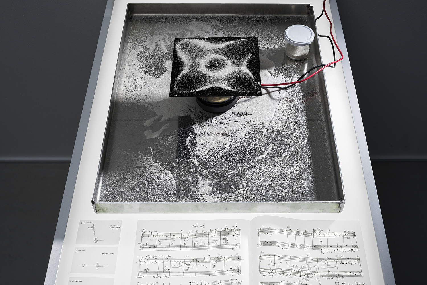 Jenny Brockmann, Schering Stiftung