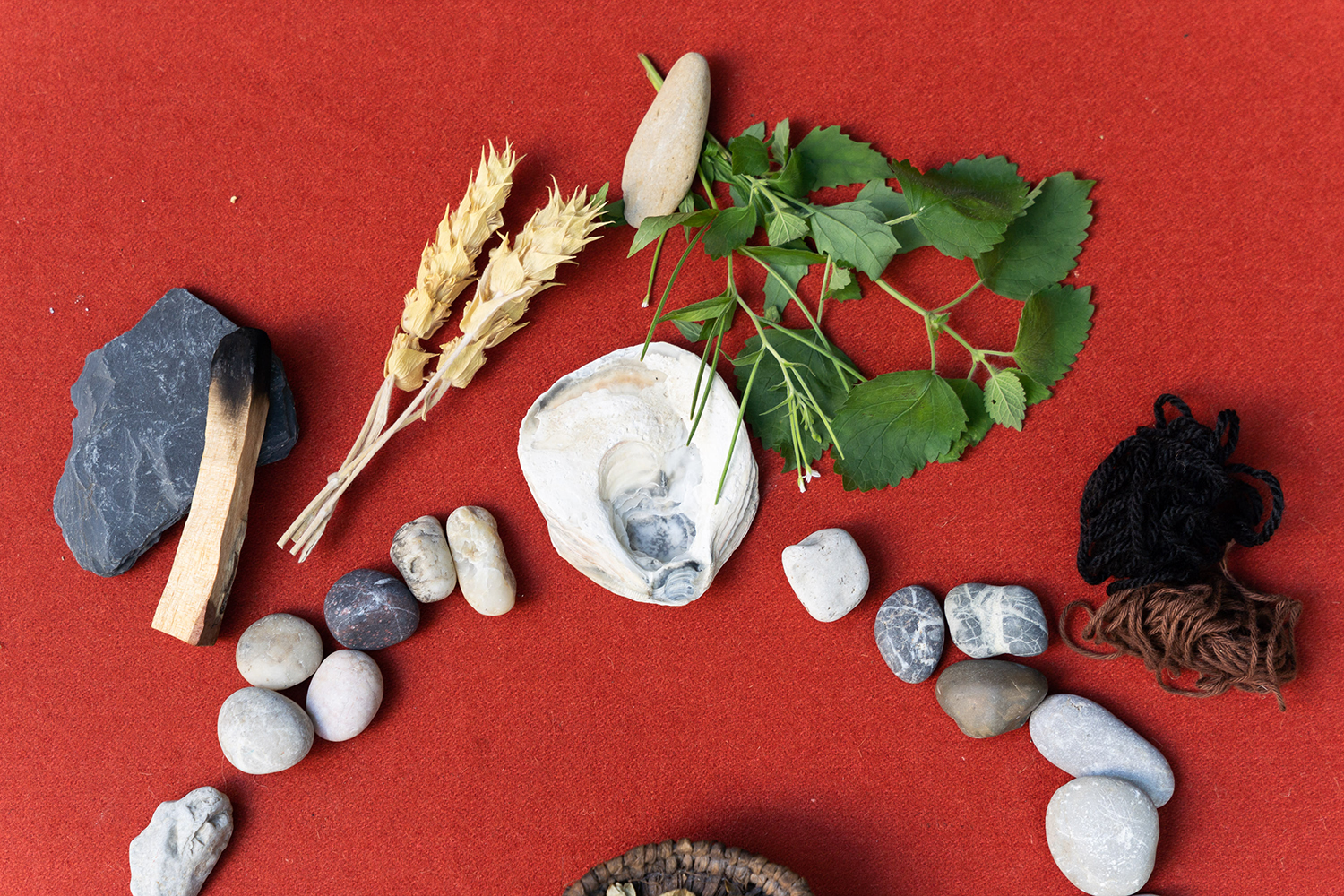 Sensing Resonance - Imayna Caceres