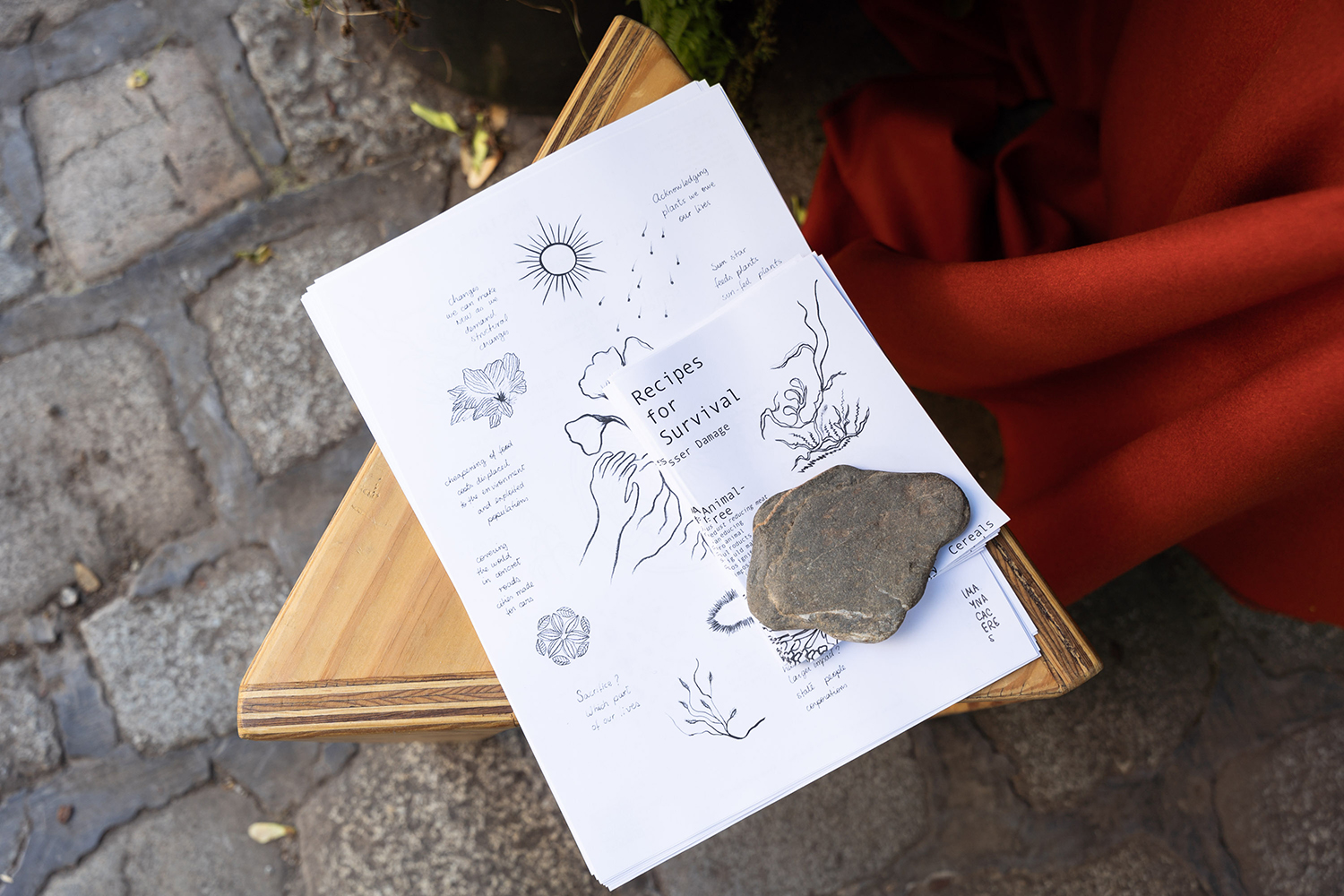 Imayna Caceres ‚Plants for Survival and Healing, Recipes for Eating With Lesser Planetary Damage‘ 2024