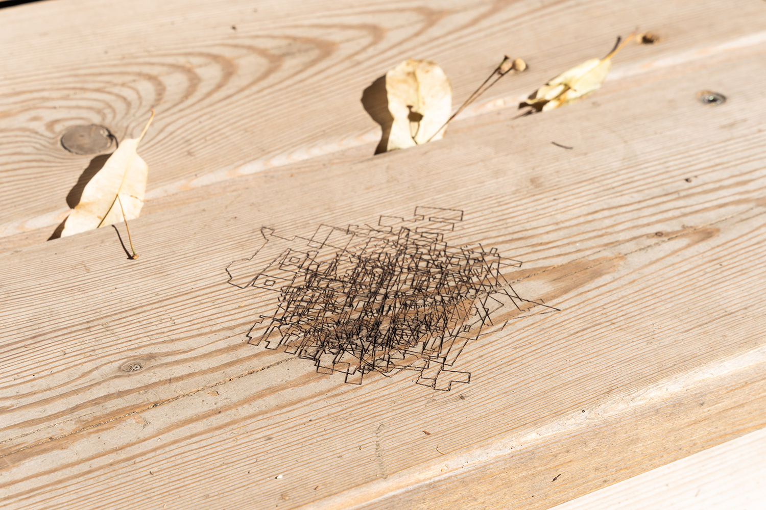 Julian Palacz ‚Little Boxes / Top Ten (The largest hospitals)‘ engraved on the Klima-Kultur-Pavillon (Breathe Earth Collective) 2024.