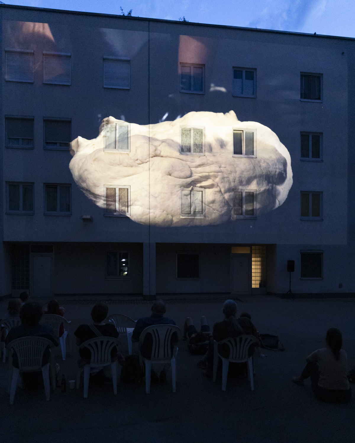 Wandertag with Anna Witt ‚Hautfront‘ 2009 (installation view) 2021.