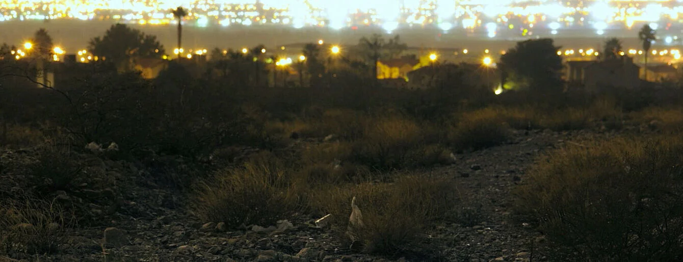 csm_Videostill__Desert_Bloom_von_Christina_Kubisch_Peter_Kutin_Florian_Kindlinger_c414c363fa