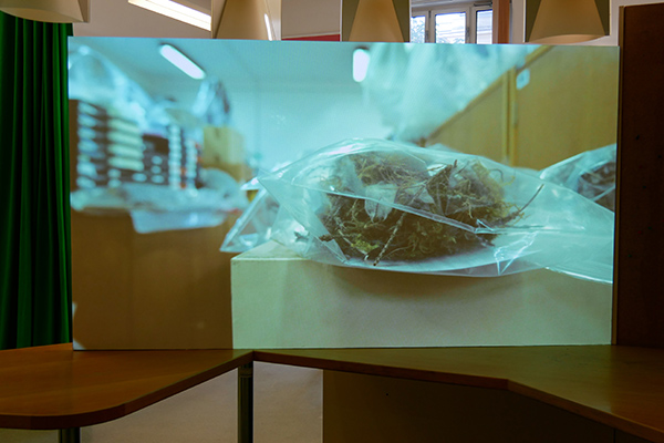 Ana Likar ‘Myriad Tentacles Will be Needed (Again and Again)‘ 2021. Courtesy the artist. Photo: Nathan Cha